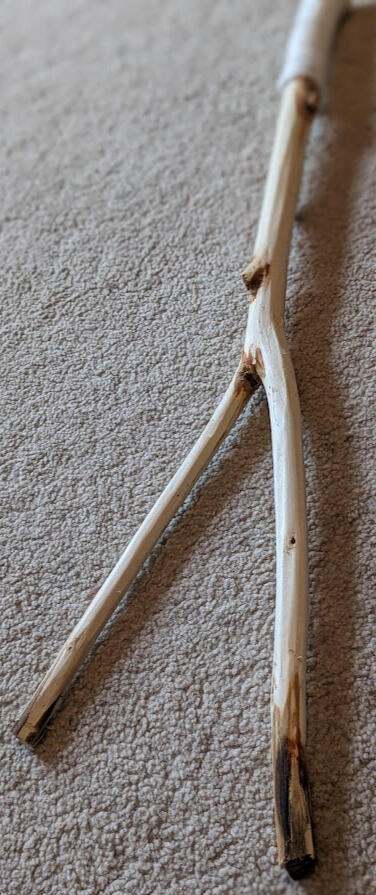 WATER MAGIC WAND. For decisions and signs