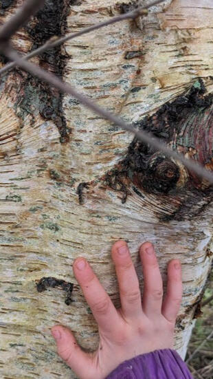 I always ask the trees for their guidance and blessing