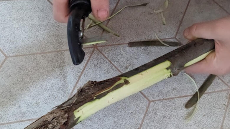 This is how I strip the bark